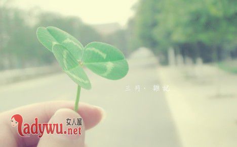 女属狗男属羊合婚吗