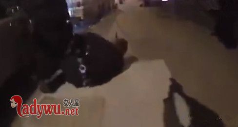 开65枪一枪未中