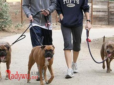 济南发布养犬通告