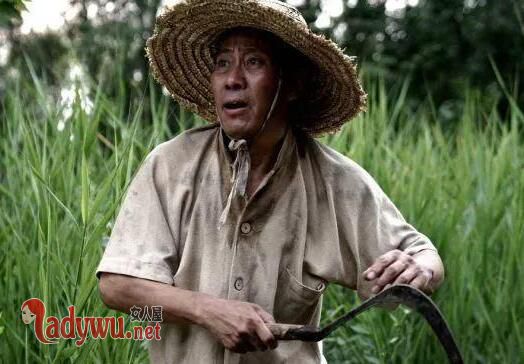 初心里的王司令是王震吗