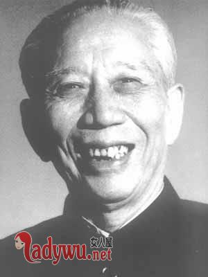 初心里的王司令是王震吗