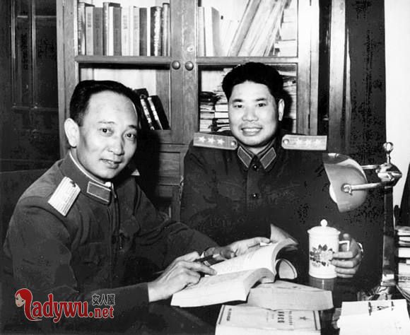 杨得志炮轰南阳