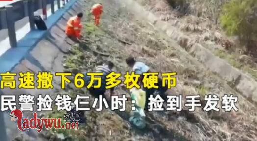 6万硬币撒高速