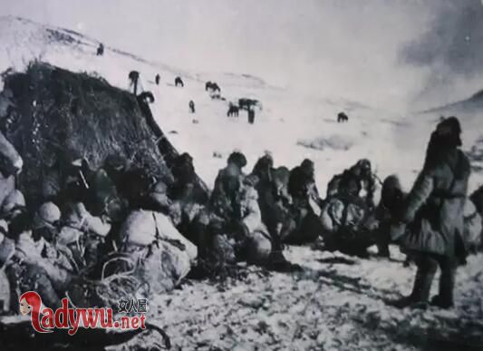 沙场老兵盛成福原型介绍