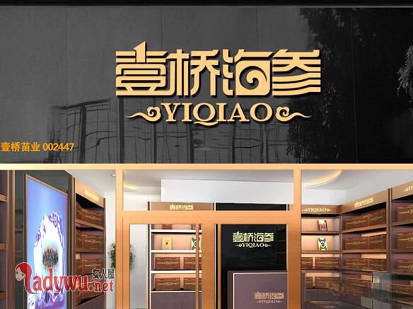 女富商刘晓庆被抓