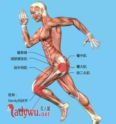 女人膝盖酸软是什么原因