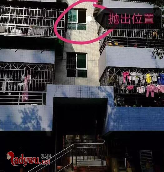 小狗疑被3楼扔下