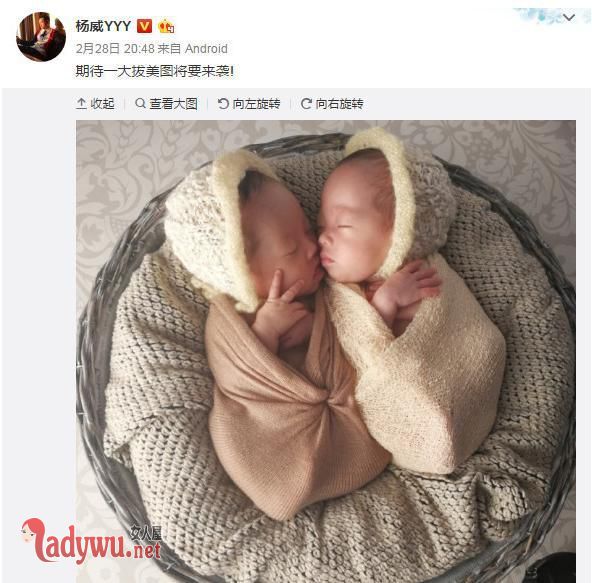 杨云晒双胞胎女儿