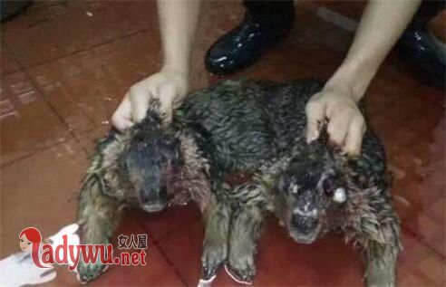 遇到水猴子拉人怎么办
