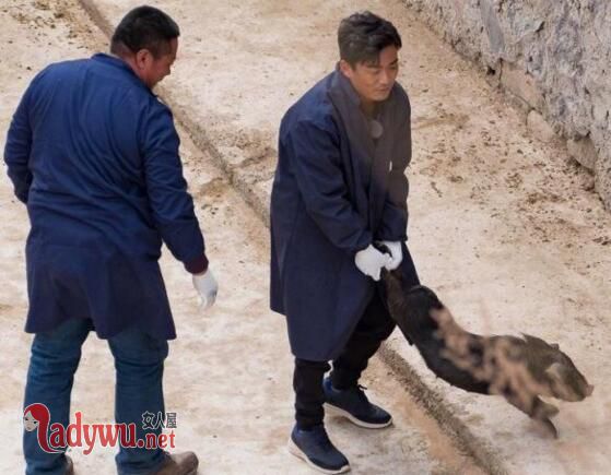 王宝强下乡抓猪