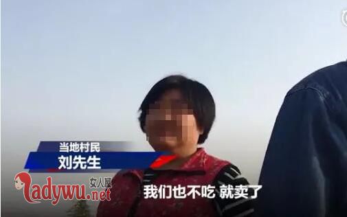 央视调查红水浇地