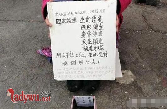 在丽江乞讨成网红