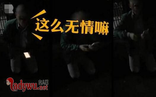 肇事逃逸磕头求饶