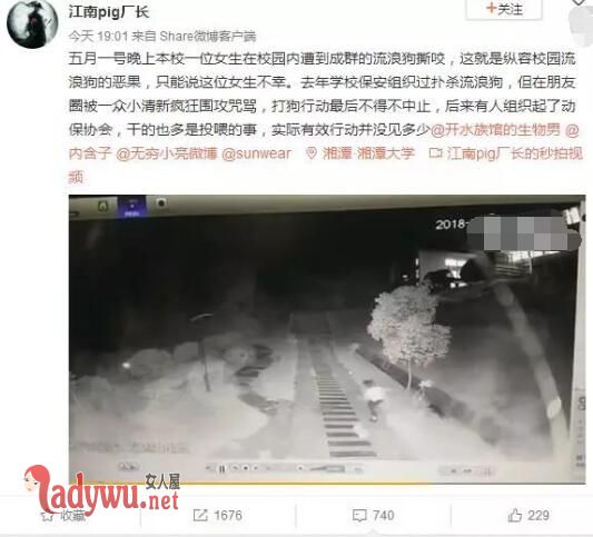 女生遭流浪狗撕咬