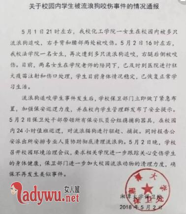 女生遭流浪狗撕咬