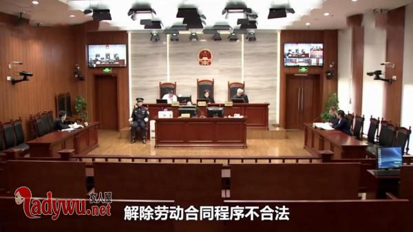 穿短裤上班被开除