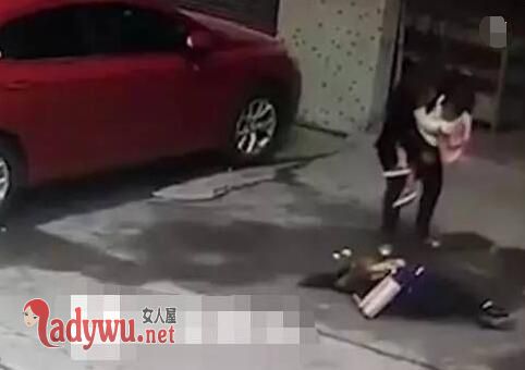 天降大狗砸中路人
