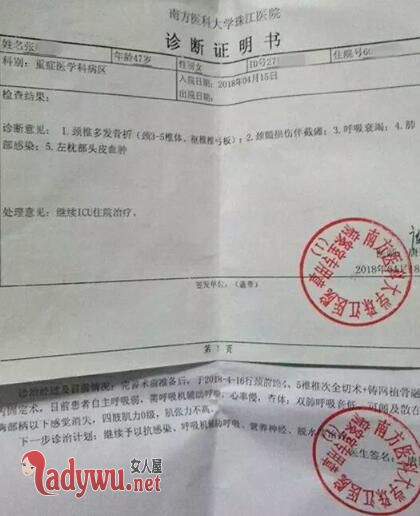 天降大狗砸中路人