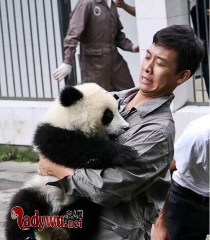 张译被熊猫咬
