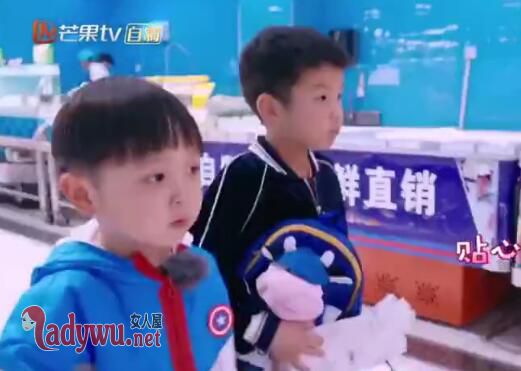 妈妈是超人安迪大麟子cp