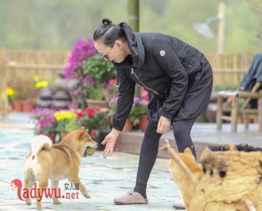 向往的生活宋丹丹说的英文什么意思