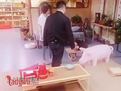 向往的生活王珞丹粉色猪什么牌子