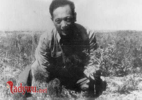彭加木失踪真相