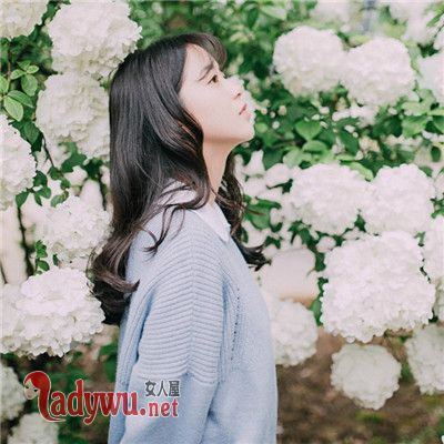 野女柔情