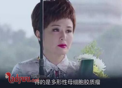 如果爱宋乔植什么病