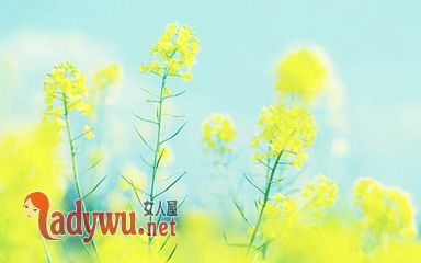 属兔男最忌讳女生什么