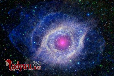僵尸行星有没有僵尸