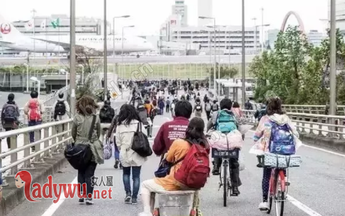 生存家族讲的什么故事