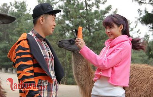 沈梦辰杜海涛什么关系