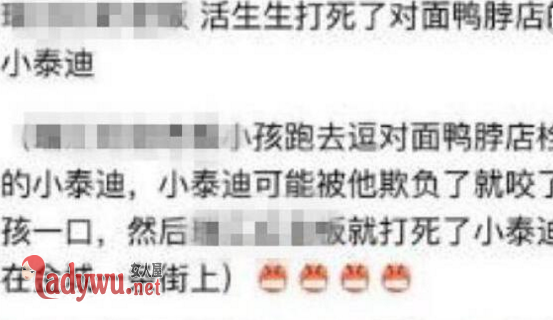 儿子被咬摔死泰迪