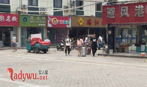儿子被咬摔死泰迪
