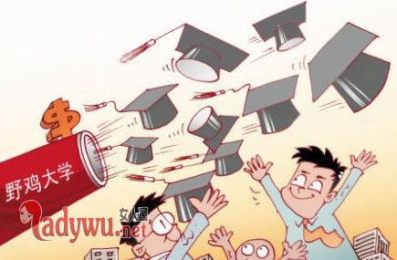329所野鸡大学
