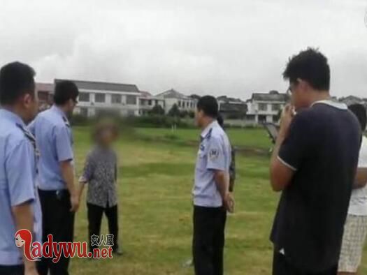 科研玉米被偷摘