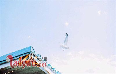 男人厌倦女人的表现