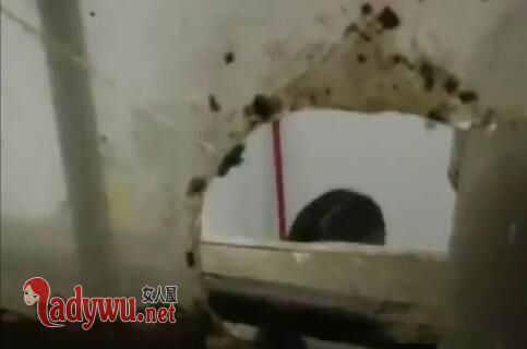 合租房现摄像头