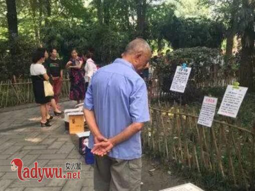 女子征婚启事火了