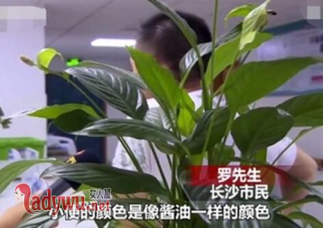 男子为备孕夜跑三公里