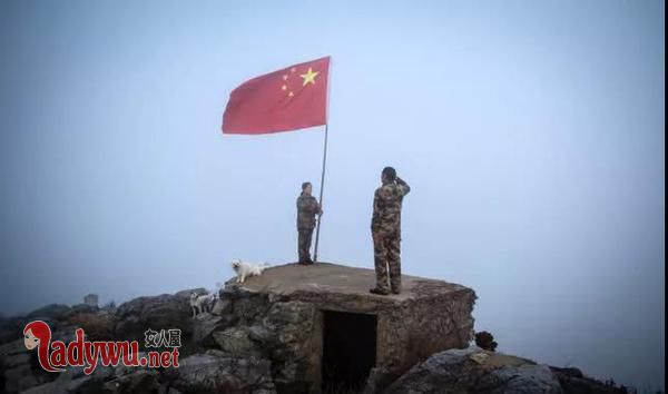 守岛英雄走了