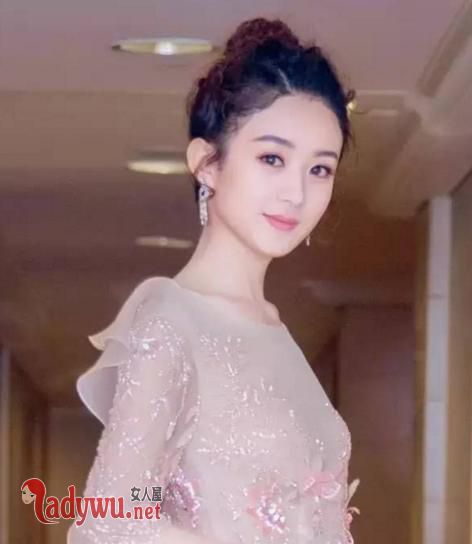 赵丽颖停工原因