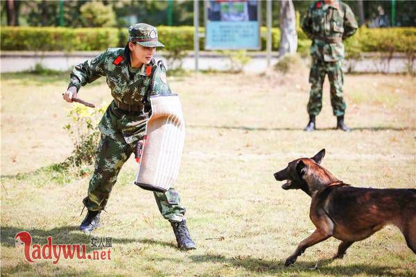 奇兵神犬张馨予剪头发是哪一期