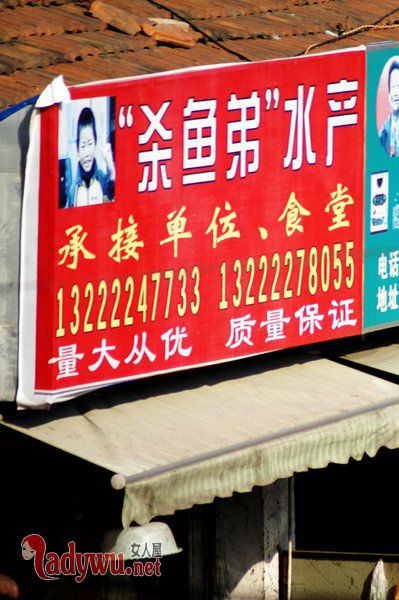 网红杀鱼弟自杀