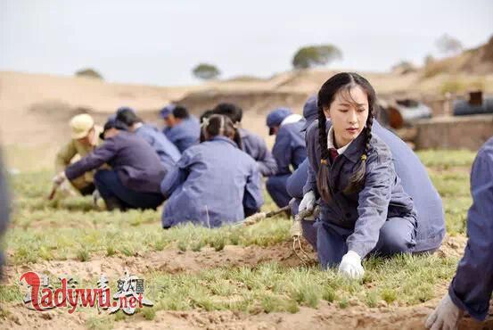 最美的青春原型背景介绍