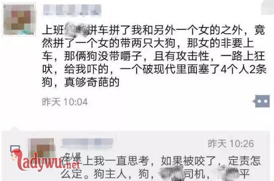 拼车拼到两条大狗
