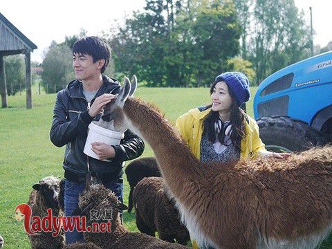林更新和谁结婚了
