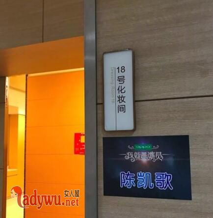 演员的诞生第二季为什么改名