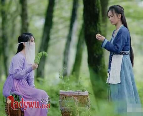香蜜沉沉烬如霜羌活是好是坏